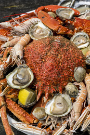 France, Finistère (29), Pays des Abers,  Lannilis, viviers et parc à huitres Prat-Ar-Coum, entreprise ostréicole de la famille d’Yvon Madec sur l'Aber Benoit, plateau de fruits de mer