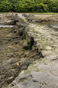 France, Finistère (29), Pays des Abers, Plouguerneau, le Pont du diable ou Pont Krac'h traversant l'Aber Wrac'h à marée basse