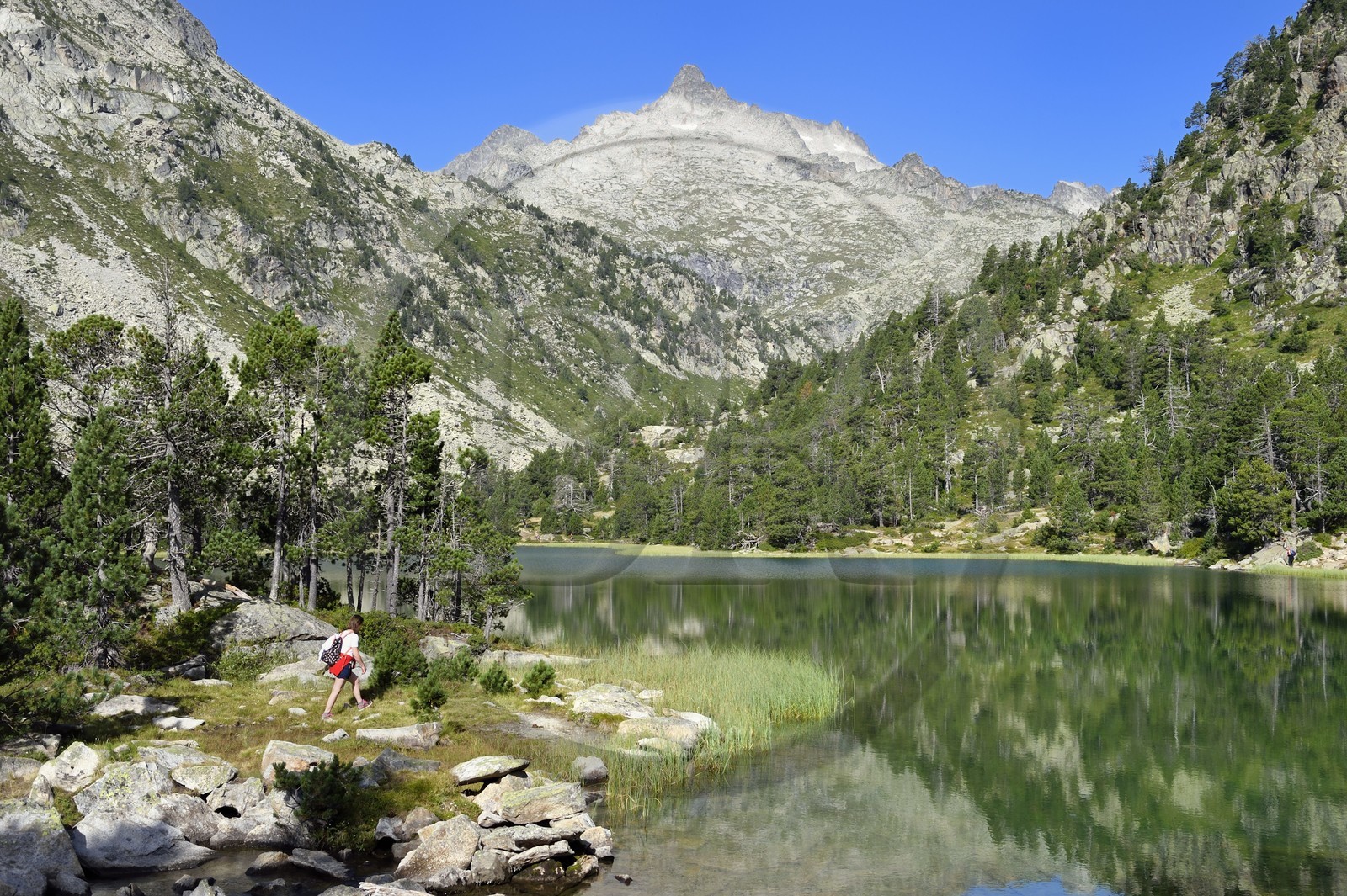 France, Hautes-Pyrénées (65), Saint-Lary-Soulan, Réserve naturelle nationale du Néouvielle, randonnée des lacs du Neouvielle, les Laquettes