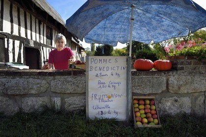 France, Seine-Maritime (76), Parc naturel régional des Boucles de la Seine normande, hameau de Beaulieu à Bardouville, vente de pommes en direct à la ferme de Simone Vauclin