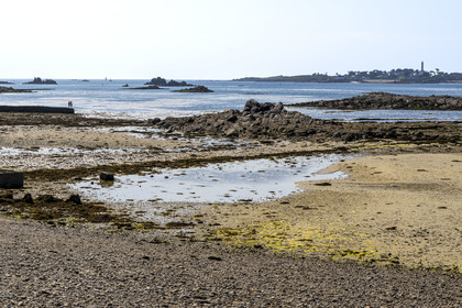 France, Finistère, Roscoff, the shore at low tide at the edge of the channel and Batz island in the background