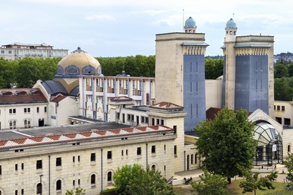 France, Allier (03), Vichy, Thermes des Dômes ou ancien Grand Établissement thermal, les châteaux d'eau sont cachés dans les tours