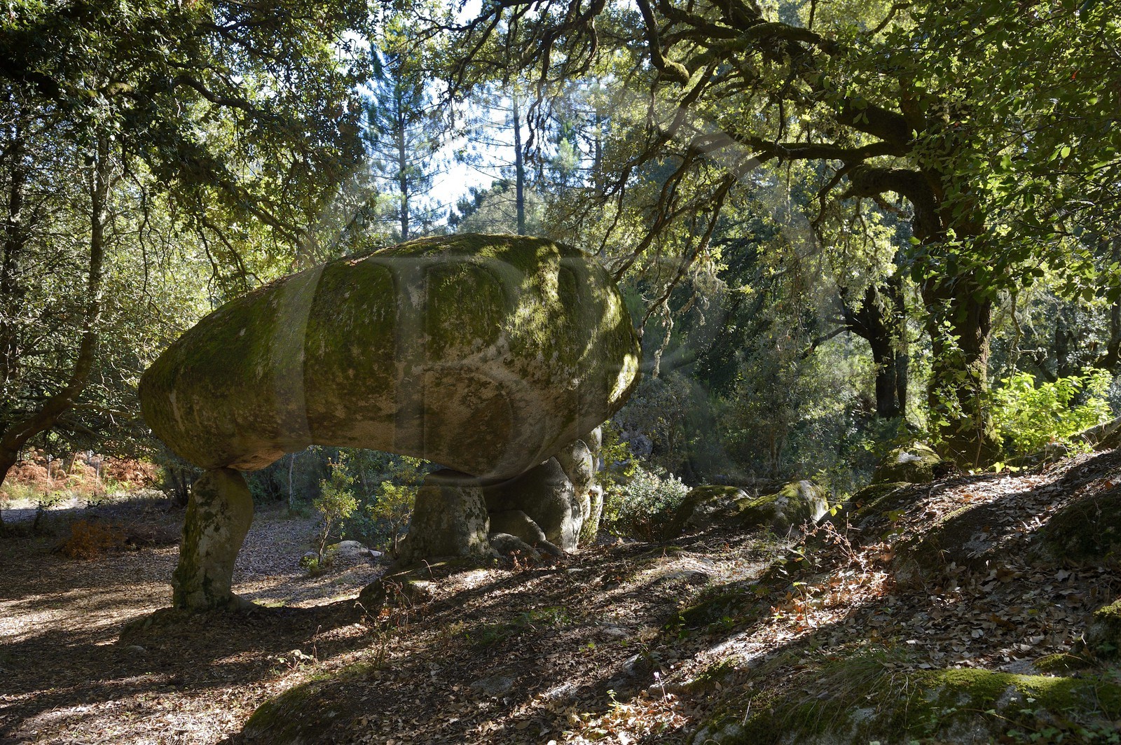 France, Corse-du-Sud (2A), Alta Rocca, chaos de Paccionitoli au sud de Zonza, dolmen