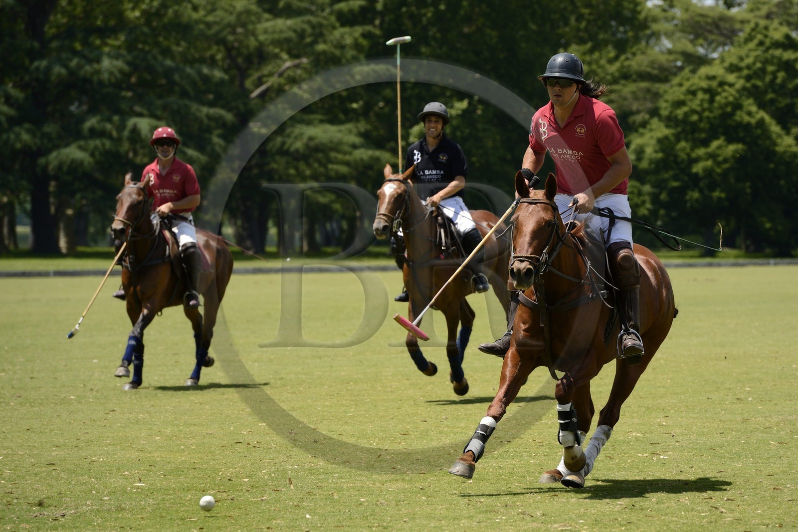 Argentine, province de Buenos Aires, San Antonio de Areco, estancia La Bamba de Areco, match de polo