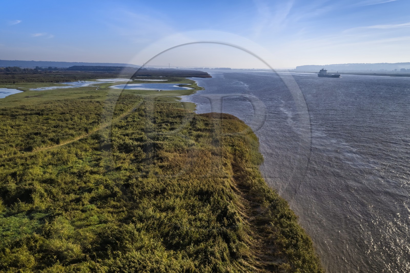 France, Seine-Maritime (76), Réserve Naturelle de l'estuaire de la Seine, cargo descendant la Seine depuis Rouen, la roselière en premier plan et le pont de Tancarville en arrière plan (vue aérienne)