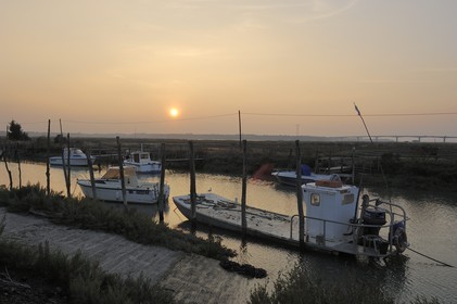 France, Charente-Maritime (17), bassin de Marennes-Oléron, port de la Cayenne