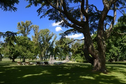 Argentine, province de Buenos Aires, San Antonio de Areco, estancia La Bamba de Areco, la piscine