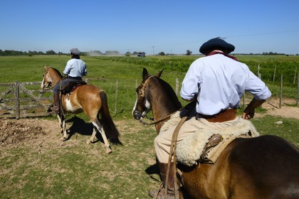 Argentine, province de Buenos Aires, San Antonio de Areco, estancia La Bamba de Areco, gauchos partant au travail