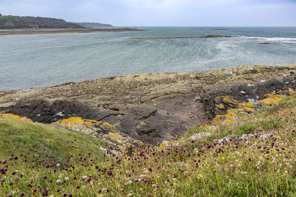 France, Cotes d'Armor, Grand Site de France Cap d'Erquy - Cap Frehel, Erquy, the Saint-Michel islet coast
