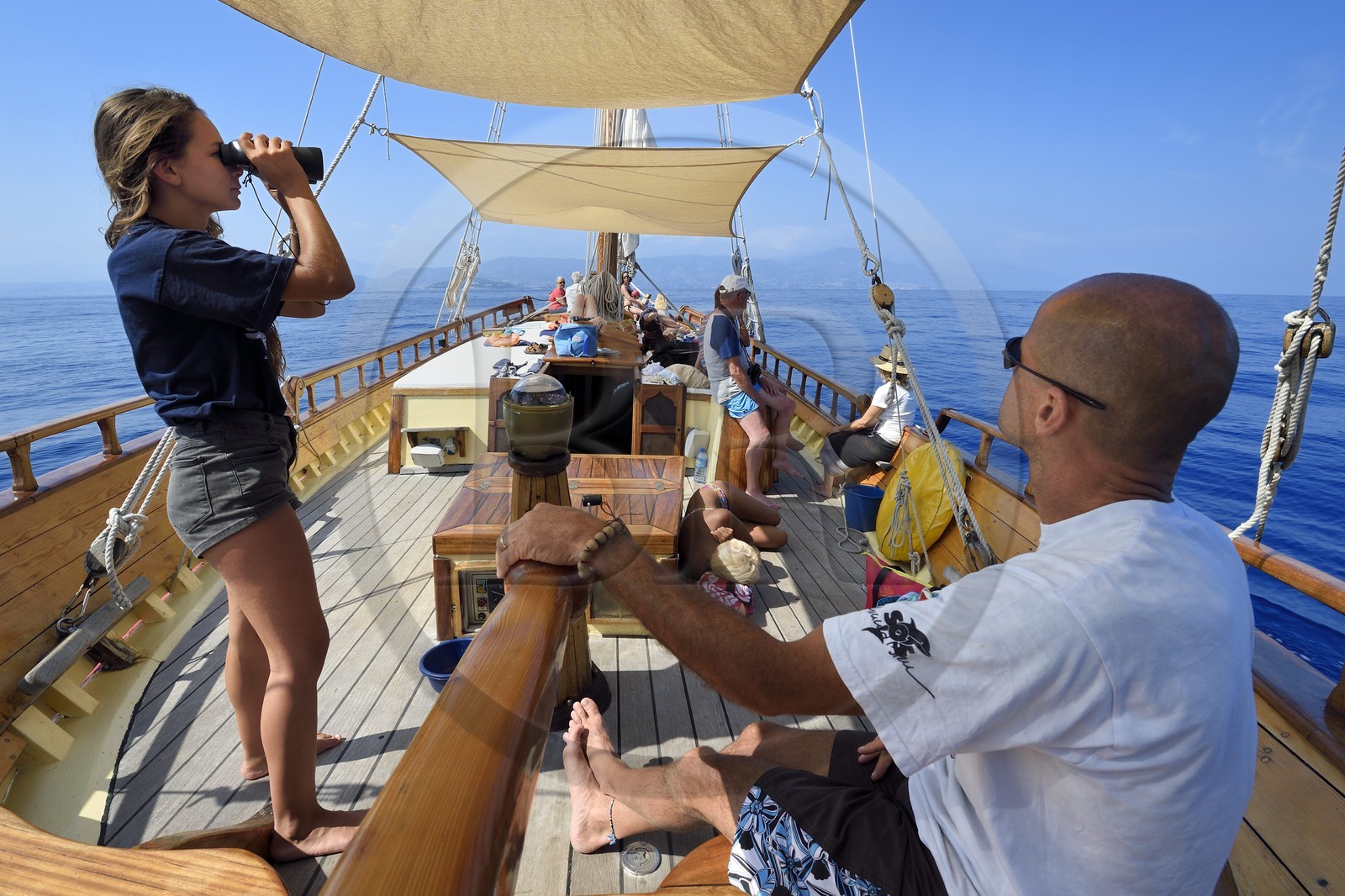 France, Alpes-Maritimes, Saint Jean Cap Ferrat, sea trip on the Santo Sospir boat with the SOS Grand Bleu association for watching dolphins and whales in the Pelagos Sanctuary