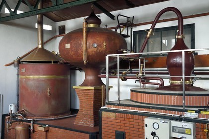 France, Charente, Sireuil, Distillerie des Moisans, Charentais still intended to produce wine brandy which will become cognac