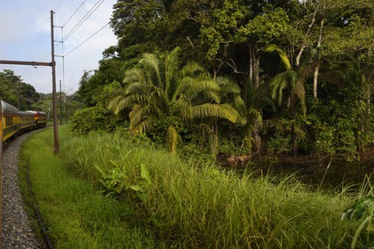 Panama, Panama Canal Railway, Historic Train which runs between Panama City & Colon along the Panama Canal and passing through the Isthmus