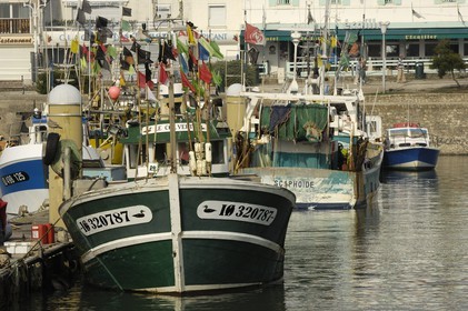 France, Charente-Maritime (17), Ile d'Oléron, port de la Cotinière