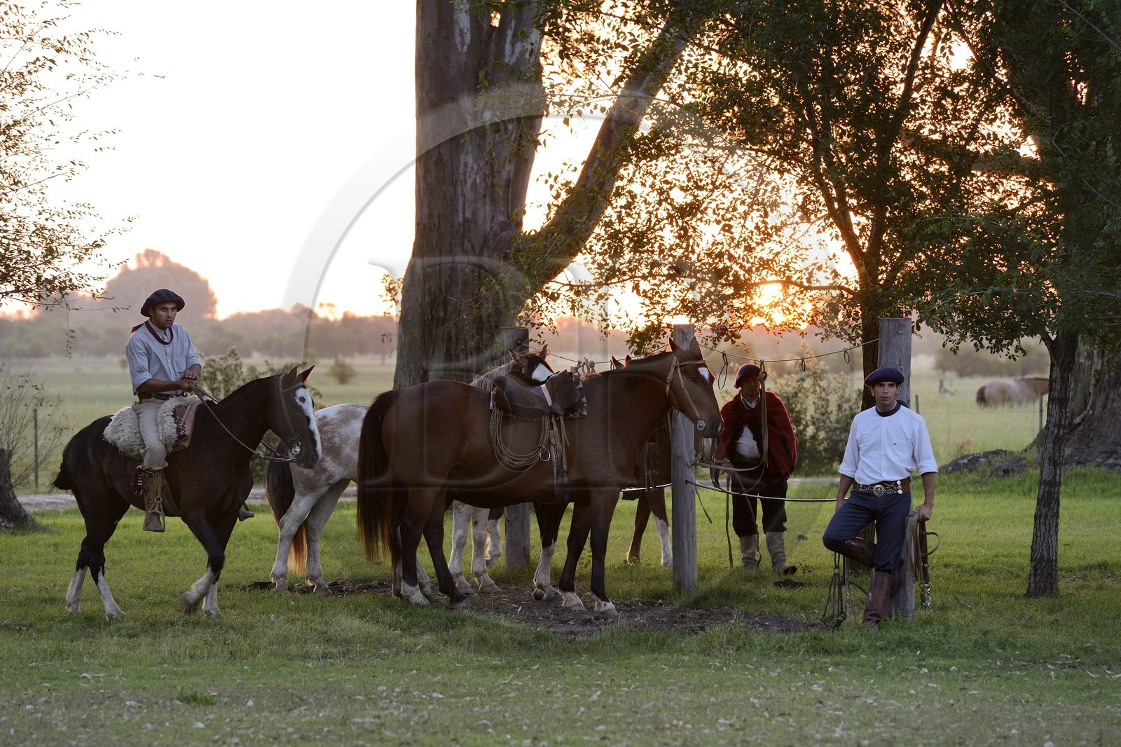 Argentine, province de Buenos Aires, San Antonio de Areco, gauchos dans l'estancia La Bamba de Areco