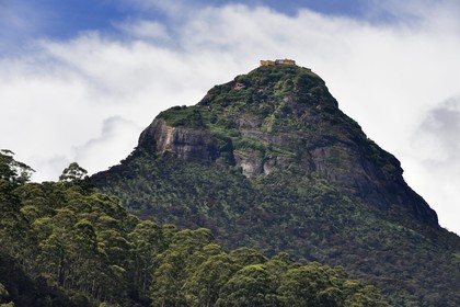 Sri Lanka, center province, Dalhousie, Adam's Peak