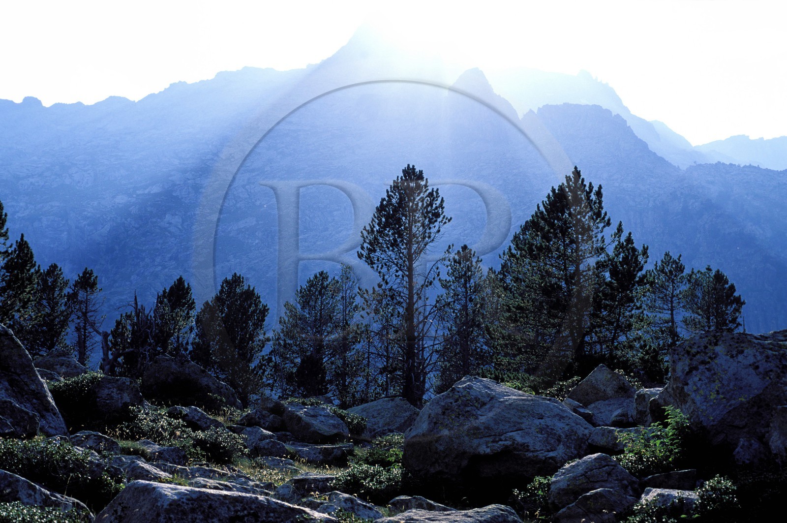 France, Hautes-Pyrénées (65), réserve naturelle de Néouvielle autour du lac d'Aubert