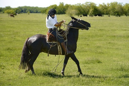 Argentine, province de Buenos Aires, San Antonio de Areco, estancia La Bamba de Areco, gauchos au travail avec son lasso