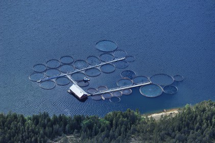 Sweden, Västernorrlands, region of Bjästa, fishing industry, fish breeding in the Baltic Sea (aerial view)