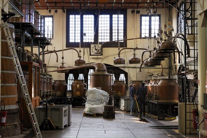 France, Seine-Maritime (76), Pays de Caux, Côte d'Albâtre, Fécamp, Palais Bénédictine, distillerie aux alambics de cuivre martelé de la liqueur Bénédictine