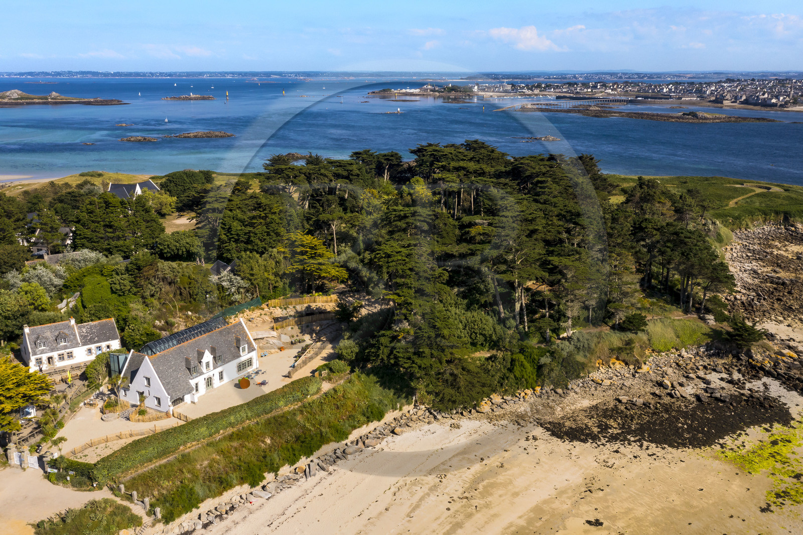 France, Finistère (29), Iles du Ponant, Ile de Batz, jardin Georges Delaselle ou jardin colonial, jardin exotique présentant une collection botanique provenant des cinq continents et Roscoff en arrière plan (vue aérienne)