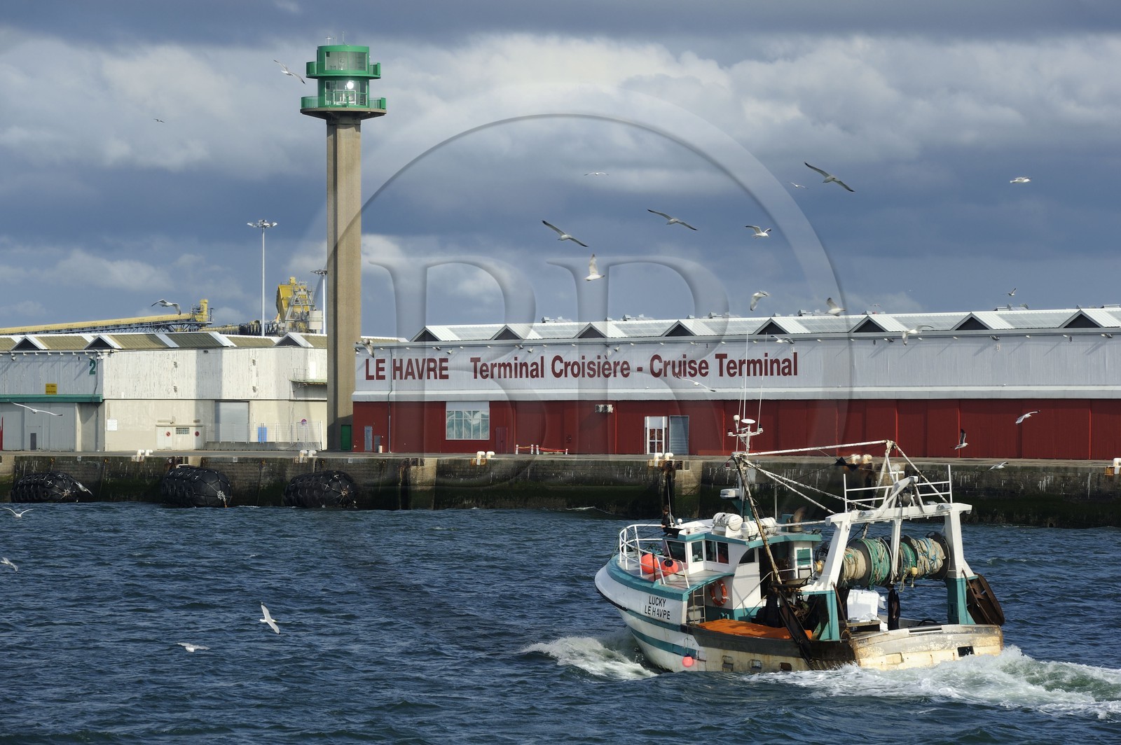 France, Seine-Maritime (76), Le Havre, bateau de pêche entrant au port suivi par une nuée de goélands