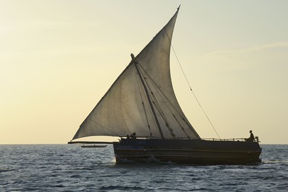 Tanzanie, archipel de Zanzibar, île de Unguja (Zanzibar), côte ouest, un dhow (boutre traditionnel)