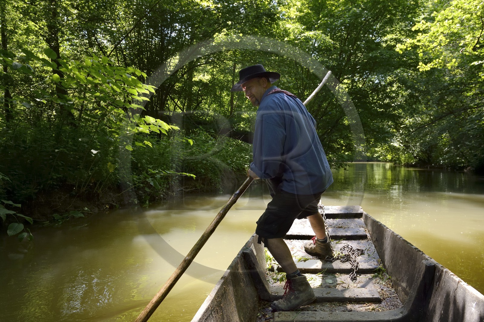 France, Bas-Rhin (67), région d'Ebersmunster et Muttersholtz, le Grand Ried, le batelier Patrick Unterstock dans une barque à fond plat en bois sur la rivière l'Ill