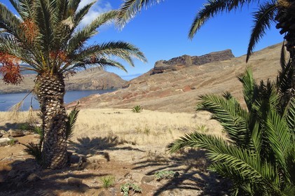 Portugal, Madeira Island, hike in the Ponta de Sao Lourenço nature reserve in the far east of the island