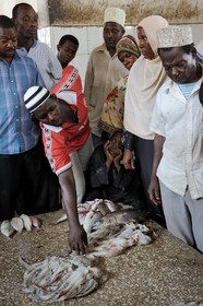 Tanzania, Zanzibar, Stown Town, Darajani market, fish market