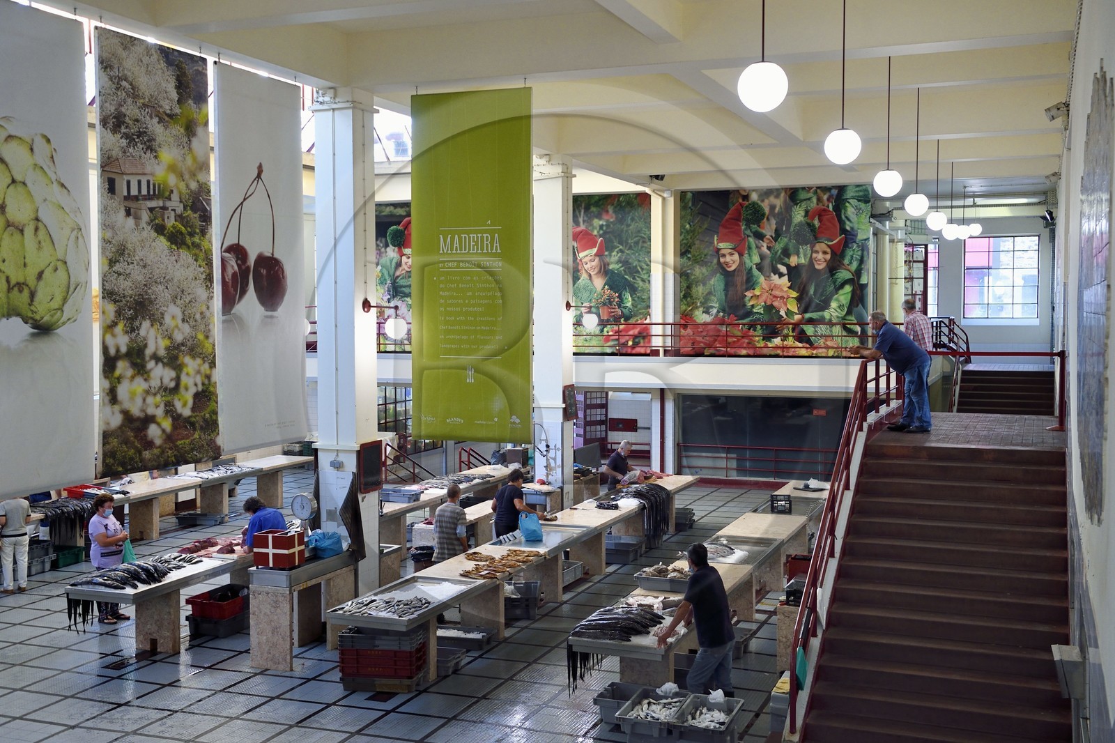 Portugal, Ile de Madère, Funchal, le marché couvert Mercado dos Lavradores, hall des poissons