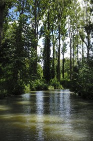 France, Loir-et-Cher (41), le parc du château de Cheverny, le canal qui traverse la propriété