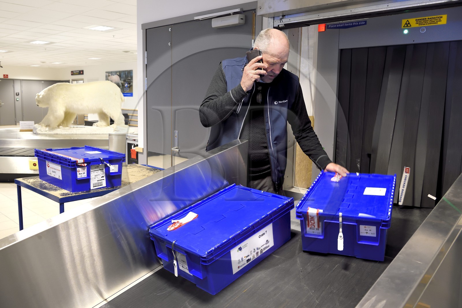 Norvège, Svalbard, Spitzberg, Longyearbyen, la Réserve mondiale de semences du Svalbard (banque de graines du Global Seed Vault), arrivée et passage des semences au controle de l'aéroport effectué par NordGen, un ours blanc polaire en arrière plan