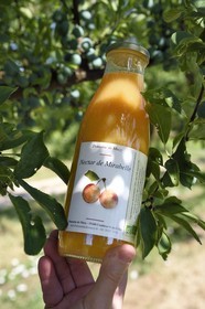France, Meuse, Lorraine Regional Park, Cotes de Meuse, Combres sous les cotes, Domaine de Muzy, bottle of mirabelle plum juice