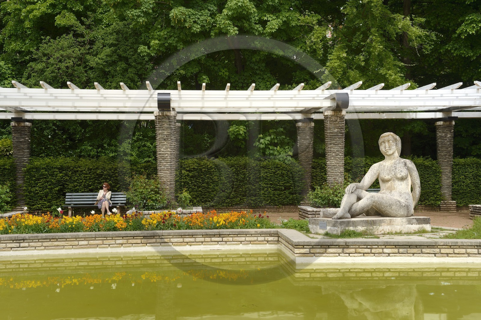 France, Rhône (69), Lyon,  le parc de la Tête d' Or, la Grande Roseraie