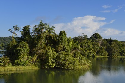 Panama, the Isthmus of Panama between Panama City and Colon along the train line of the Panama Canal Railway