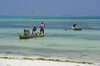 Tanzanie, archipel de Zanzibar, île de Unguja (Zanzibar), côte Sud-Est, Bwejuu, pêcheurs sur des dhow (boutre traditionnel)