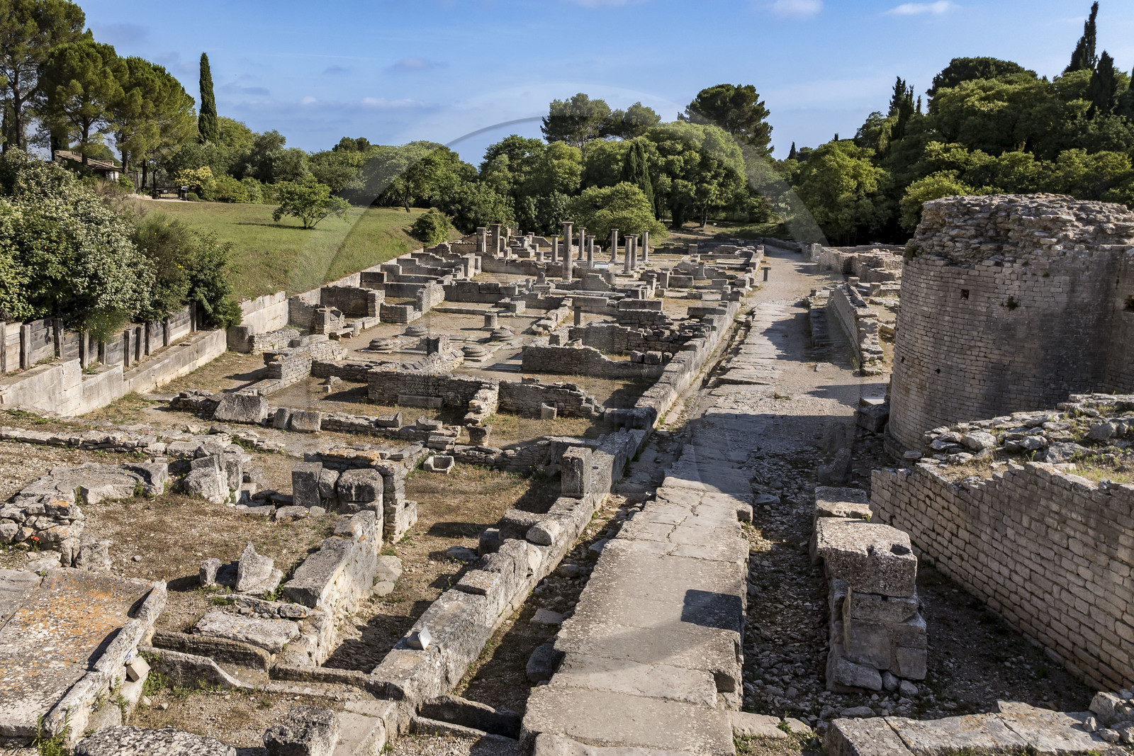 France, Bouches-du-Rhône (13), Parc Naturel Régional des Alpilles, Saint-Rémy-de-Provence, site archéologique de Glanum, la rue principale (vue aérienne)