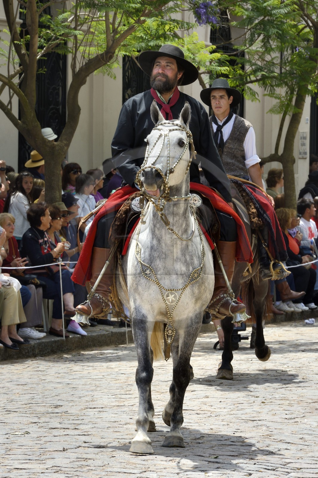 Argentine, province de Buenos Aires, San Antonio de Areco, fête du Jour de la Tradition (Dia de la Tradicion), gaucho à cheval défilant en habit traditionnel