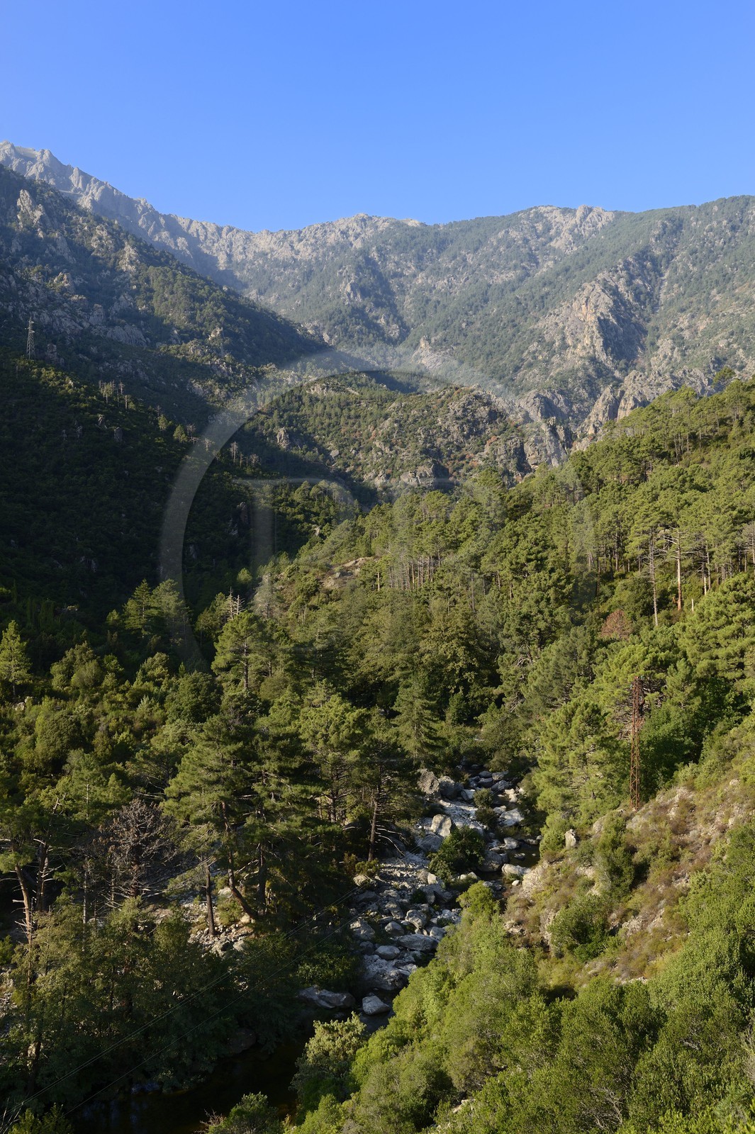 France, Haute-Corse (2B), région du Niolu (Niolo), le défilé rocheux de la Scala di Santa Regina et la rivière de Golo