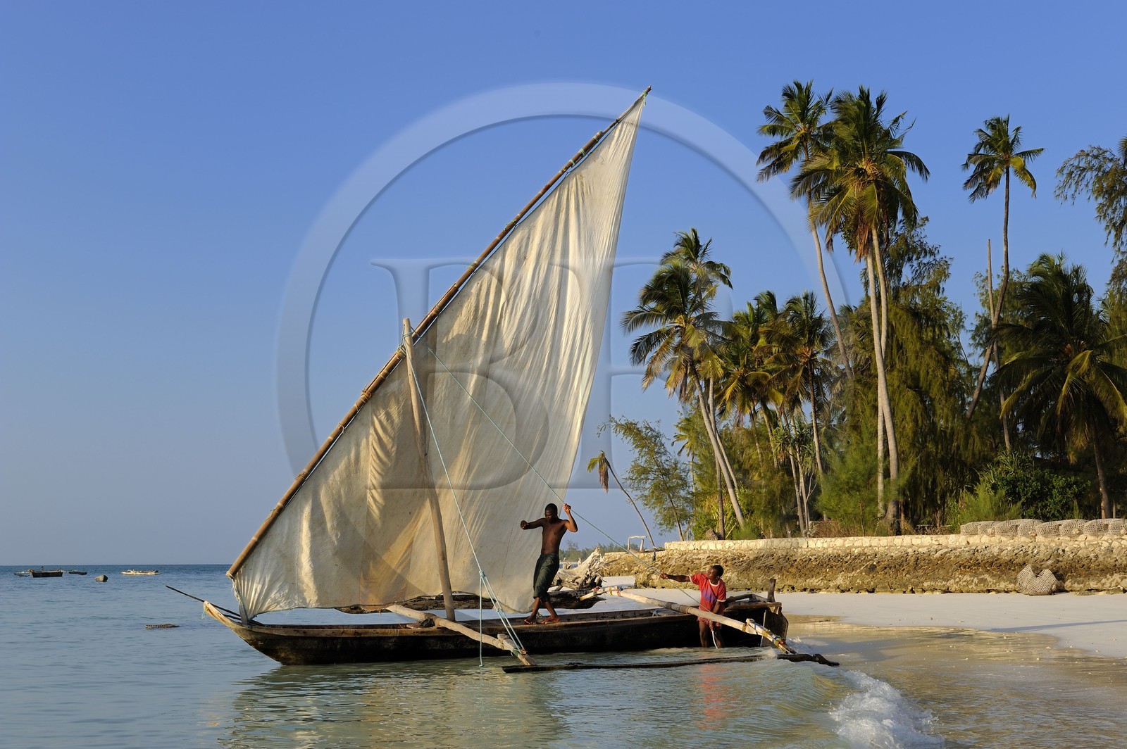 Tanzanie, archipel de Zanzibar, île de Unguja (Zanzibar), côte est, baie de Chwaka vers Michamvi, départ pour la pêche d'un dhow (boutre traditionnel)