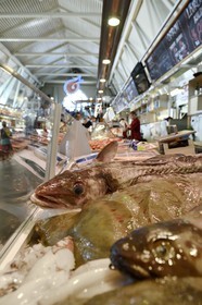 Sweden, Västra Götaland, Göteborg (Gothenburg), the Fish Church Feskekörka