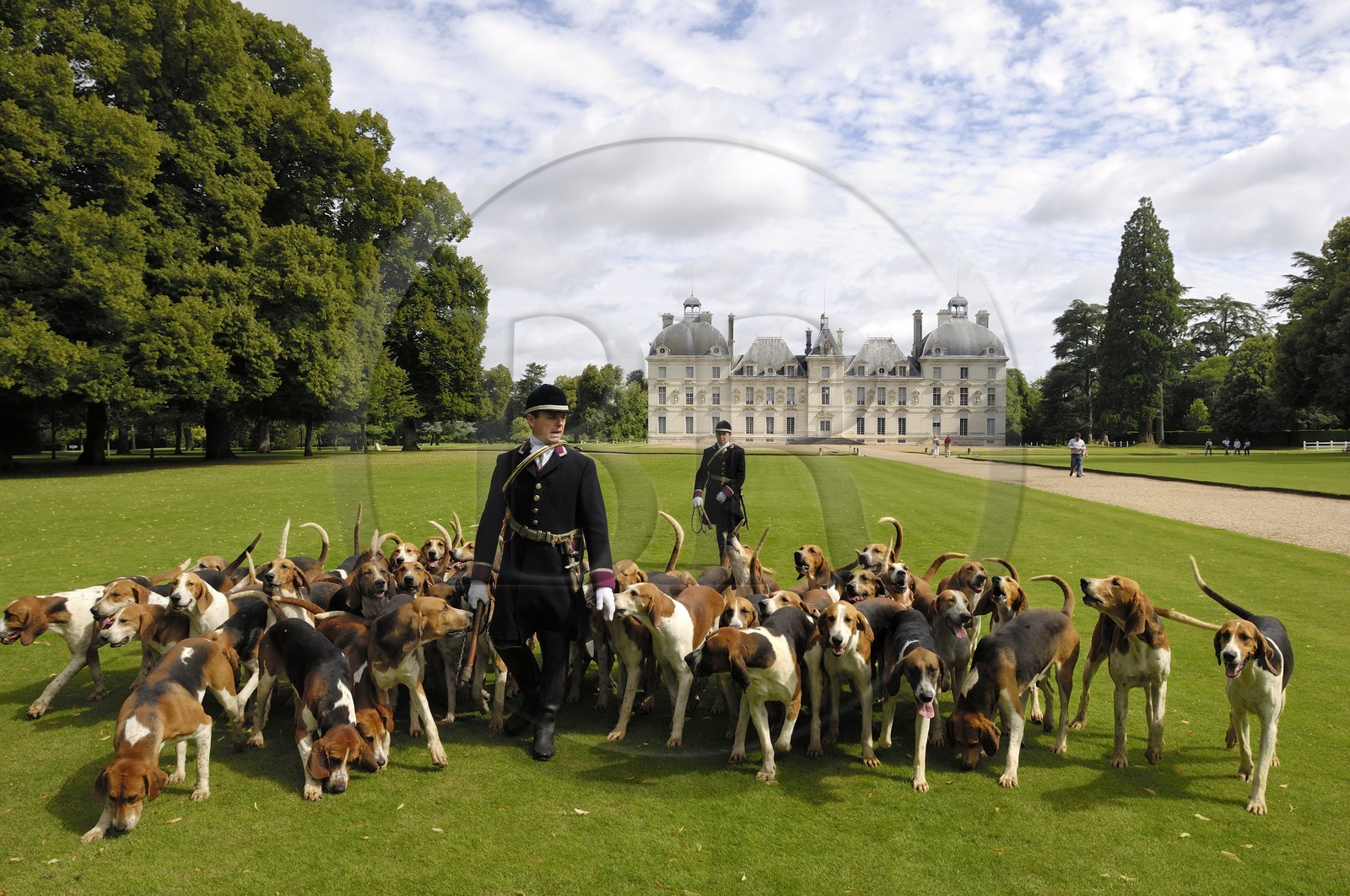 France, Loir-et-Cher (41), château de Cheverny, les piqueux Vol au Vent et La Rosée qui gèrent la meute de 90 chiens de chasse à cour