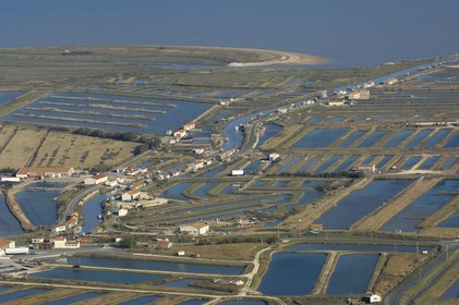France, Charente-Maritime (17), Ile d'Oléron, côte est au nord de Château-d'Oléron, entre marais et parcs à huitres (vue aérienne)