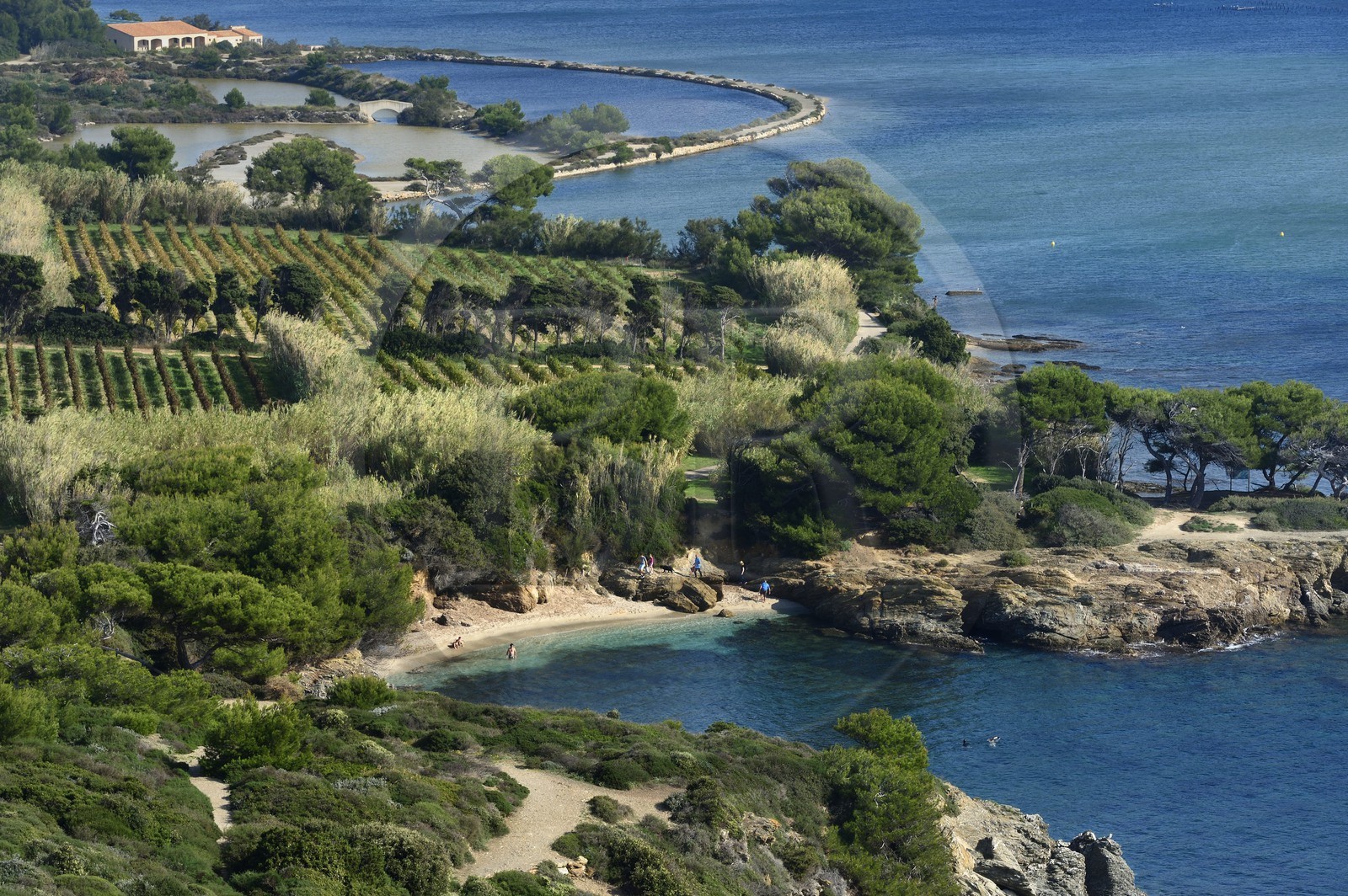 France, Var (83), Ile des Embiez vue depuis la Pointe du Coucoussa, la plage du Coucoussa