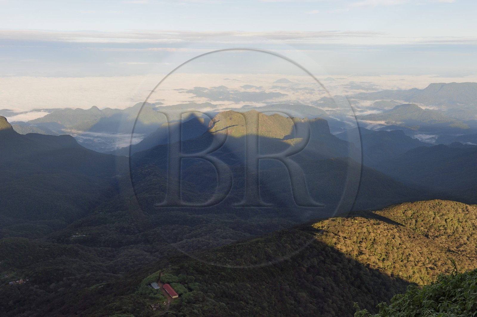 Sri Lanka, province du centre, Dalhousie, lever de soleil sur le Pic d'Adam (Adam's Peak), l'ombre triangulaire de l'Adam's peak se reflète sur la brume matinale