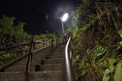 Sri Lanka, center province, Dalhousie, stairs to Adam's Peak