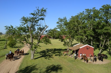 Argentine, province de Buenos Aires, San Antonio de Areco, estancia La Bamba de Areco, retour à l'étable des chevaux utilisés pour le polo et gauchos se préparant au départ à droite