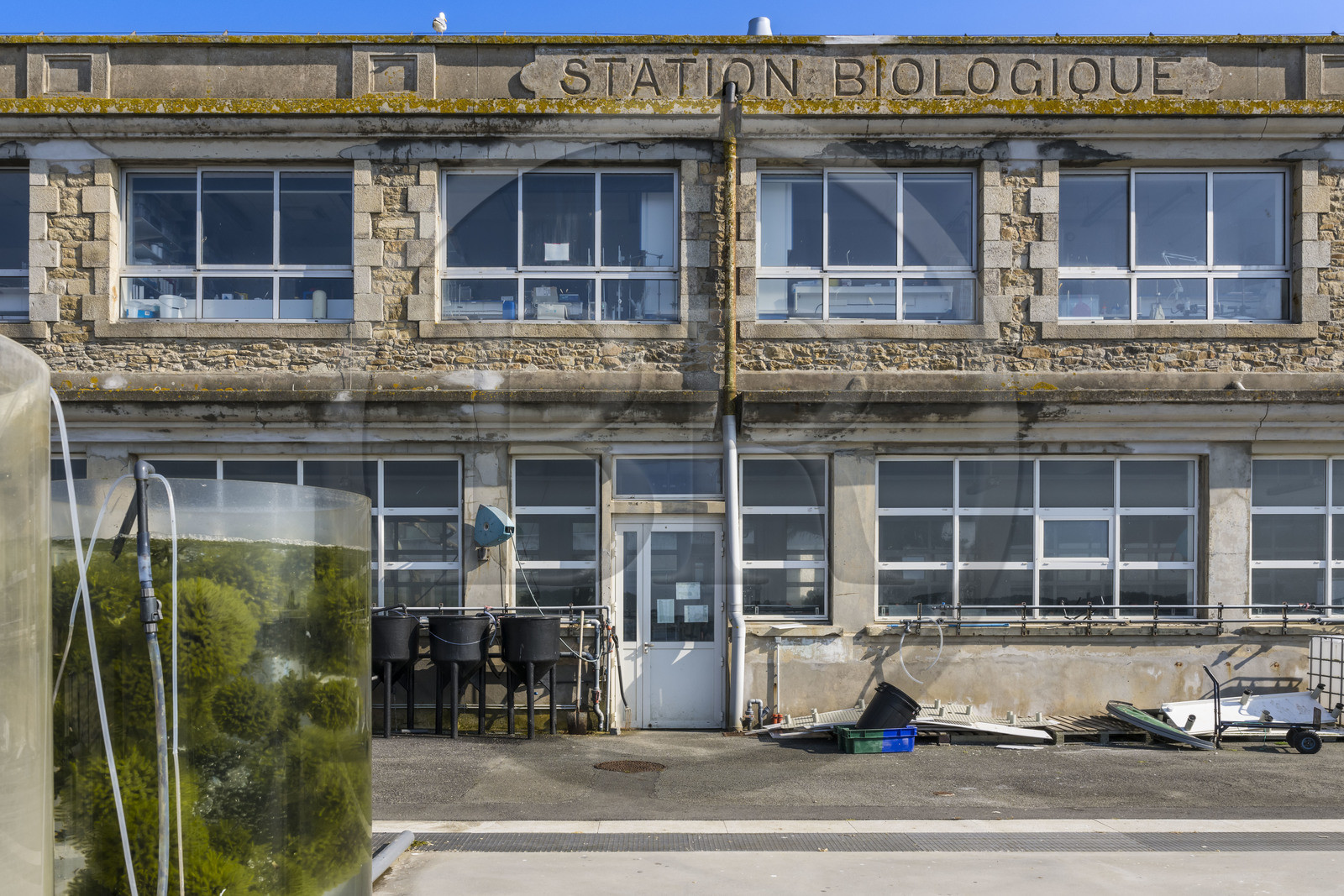 France, Finistère (29), Roscoff, station biologique du CNRS et Sorbonne université