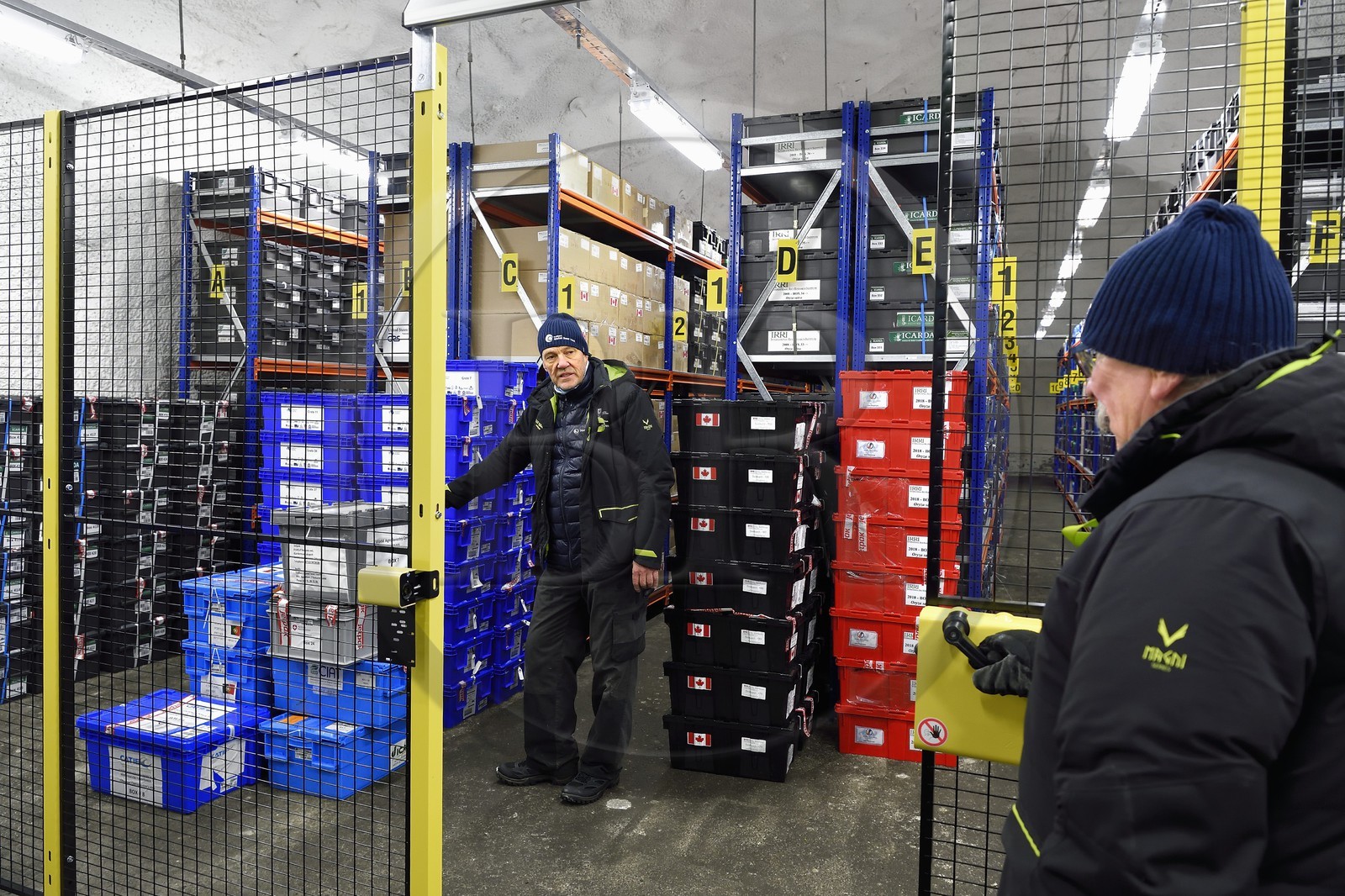Norvège, Svalbard, Spitzberg, Longyearbyen, la Réserve mondiale de semences du Svalbard (banque de graines du Global Seed Vault), salle de stockage des semences artificiellement maintenue à -18°C, près de 900000 échantillons ont été déposés, provenant de 200 pays d'origine et de 73 instituts déposants