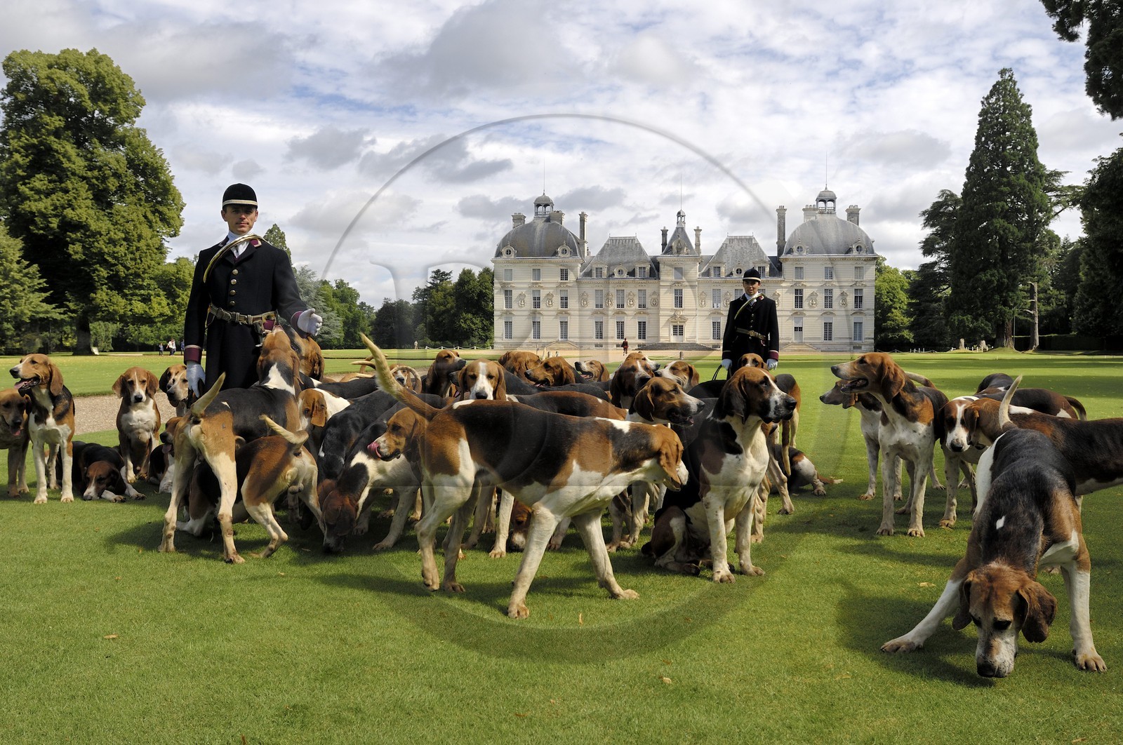 France, Loir-et-Cher (41), château de Cheverny, les piqueux Vol au Vent et La Rosée qui gèrent la meute de 90 chiens de chasse à cour